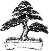 Moyogi (droit informel) Bonsai style