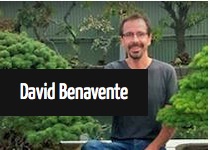 David Benavente