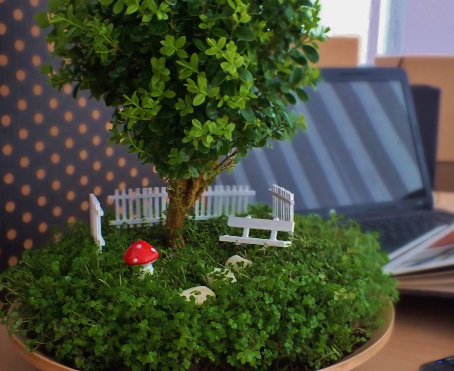 Miniature bonsai garden