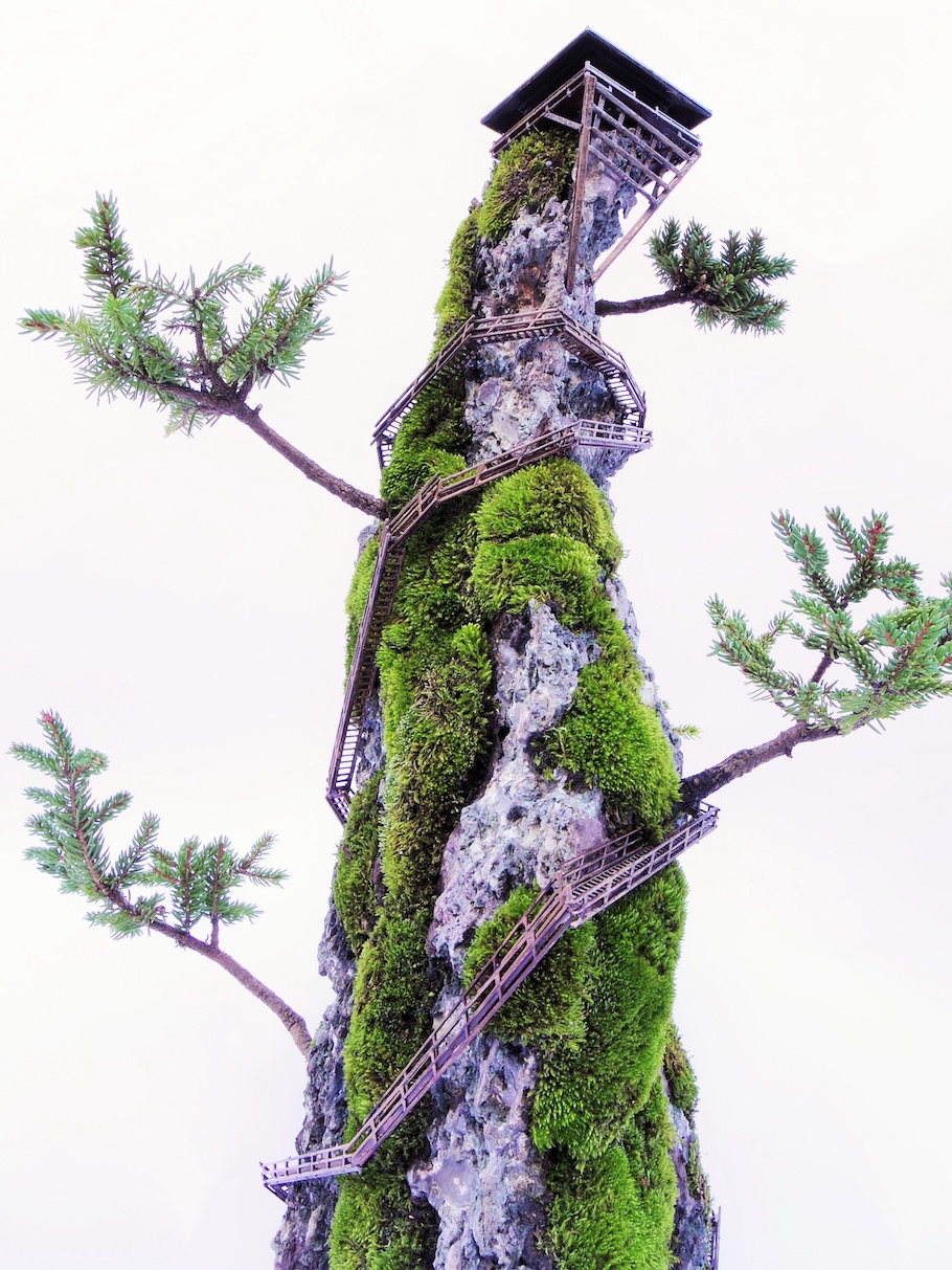 Cliff Bonsai tree, miniature landscape