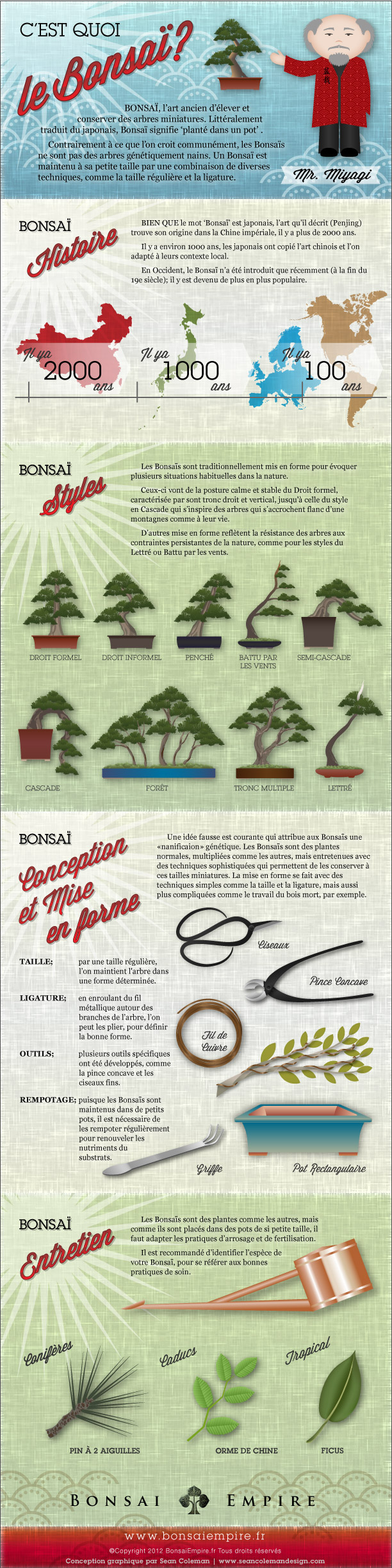 Infographie Bonsaï