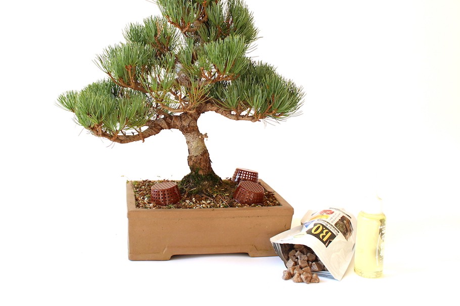 CULTIVERS Engrais naturel pour bonsaï 20 kg. Engrais 100% naturel et  naturelle, à libération lente et contrôlée, granulé avec NPK 8-1-5